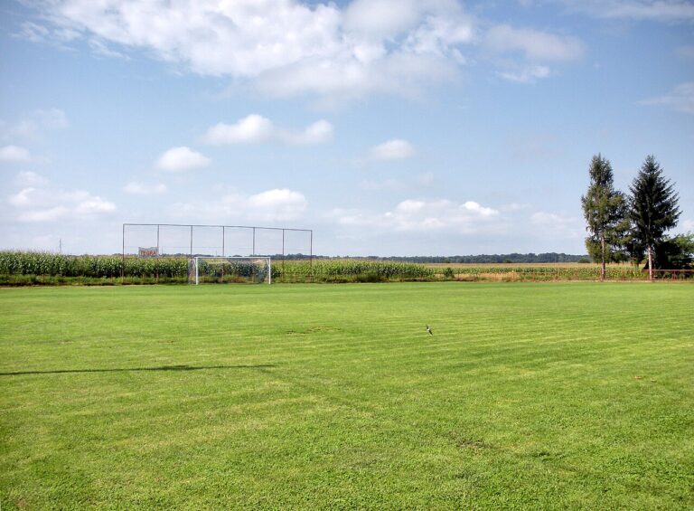Pre-Season Friendlies: Should You Bet Them? 6 article 26943 football photo