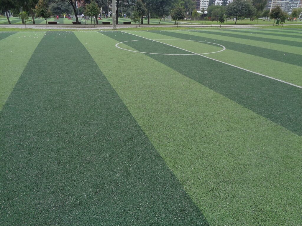 Martingale Betting: Why It Always Fails Eventually 2 (Parque La Carolina) football pitch (football field, soccer field) Quito Ecuador campo de fútbol (Parque La Carolina) Photo by, David Adam Kess 2019, Wkimedi ' Sony Camera.