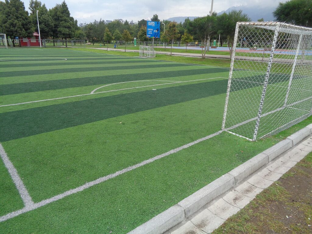 How to Read a Tipster Profile: Key Metrics Explained 2 (Parque La Carolina) football pitch (football field, soccer field) Quito Ecuador campo de fútbol (Parque La Carolina) Photo by, David Adam Kess 2019, Wkimedi ' Sony Camera.
