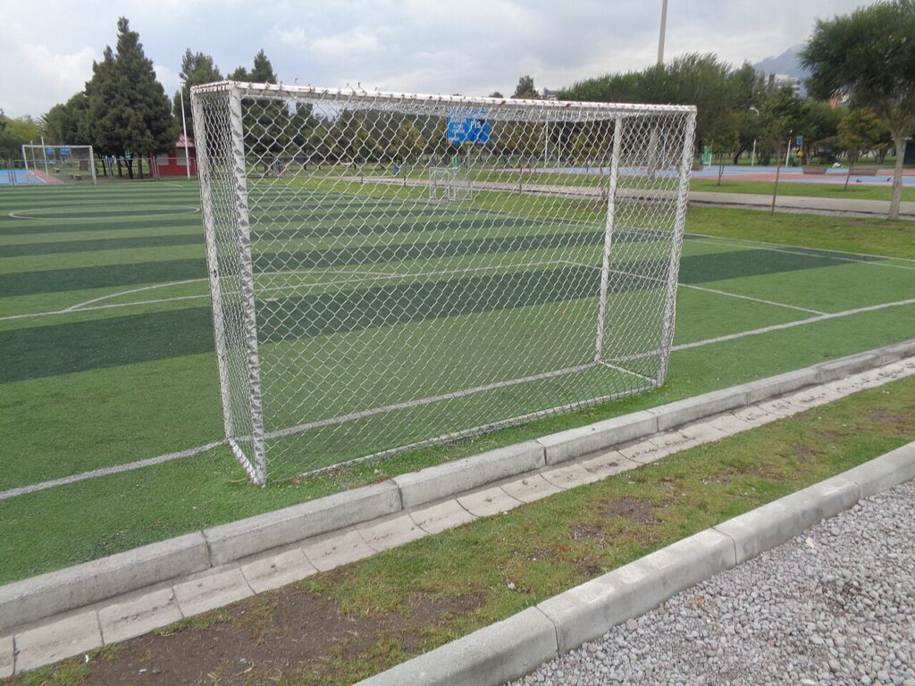Long Term vs Short Term Tipsters: Which to Follow 2 (Parque La Carolina) football pitch (football field, soccer field) Quito Ecuador campo de fútbol (Parque La Carolina) Photo by, David Adam Kess 2019, Wkimedi ' Sony Camera.